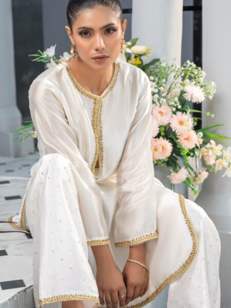 WhatsApp Image 2026-03-08 at 12.11.01 AM