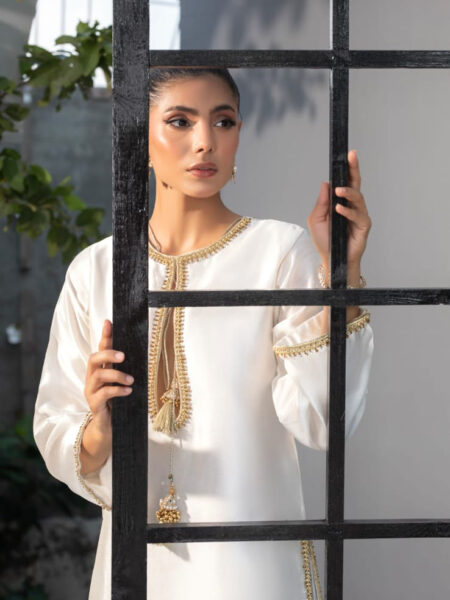 WhatsApp Image 2026-03-08 at 12.11.03 AM